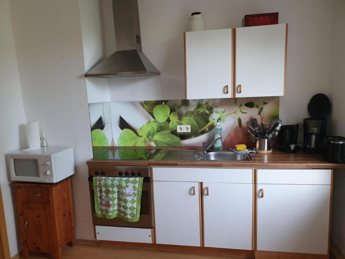 Green Oelsnitz Am Hegebach Mit Netflix Und Parkplatz Self Check-In Esterno foto